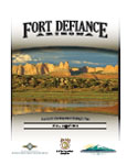 Ft. Defiance Strategic Plan
